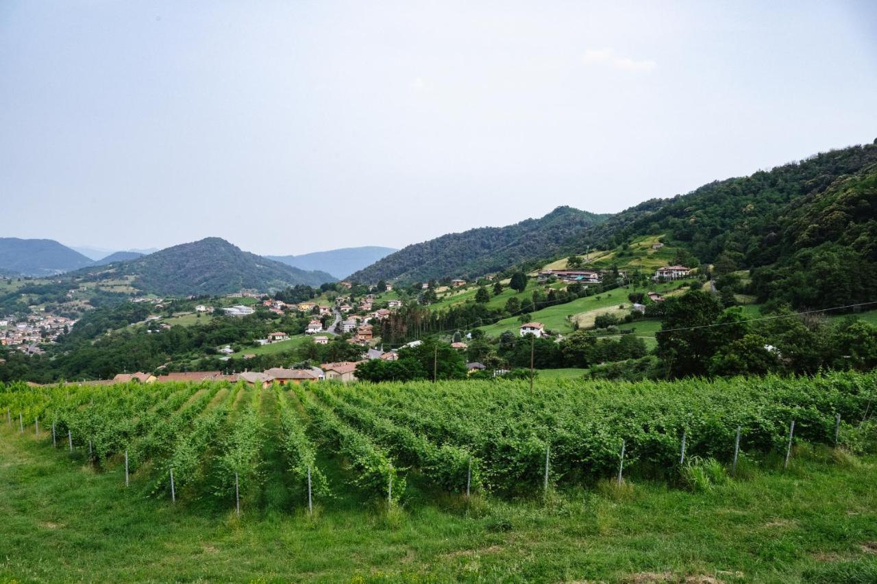 Agriturismo Podere Cavaga Lago D'Iseo Agribio Winery Foresto Sparso Eksteriør billede